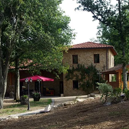 泰博斯杜班旅馆 4* Saint-Pierre-la-Palud